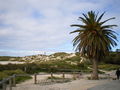 Rottnest 44703453