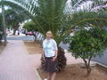 Mallorca 2007 52395996