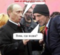 funny putin 33988463