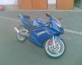 Motorsport 12026240