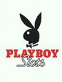 PLAYBOJS 13672046