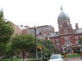 Johns Hopkins 27447270