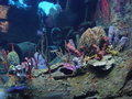 Aquarium und Abenteuer Australien 27450584