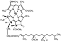 CHEMIE 19729538