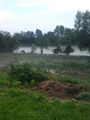 hochwasser 2009 62728410