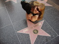 LOS ANGELES 35920545