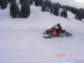 Skidoo Training and Sleds 33427549