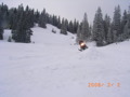 Skidoo Training and Sleds 33427810