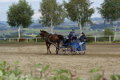  Vereinsmeisterschaft reiten und fahren 28957516