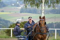  Vereinsmeisterschaft reiten und fahren 28957570