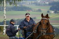  Vereinsmeisterschaft reiten und fahren 28957571