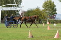  Vereinsmeisterschaft reiten und fahren 28957682