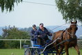  Vereinsmeisterschaft reiten und fahren 28957694