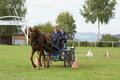  Vereinsmeisterschaft reiten und fahren 28957723