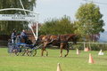  Vereinsmeisterschaft reiten und fahren 28957761