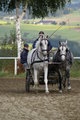  Vereinsmeisterschaft reiten und fahren 28957937