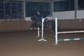  Vereinsmeisterschaft reiten und fahren 30715729