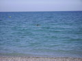 chaLkidiki (: 21579476