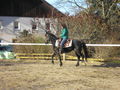 Reiten & Pferde 54691041