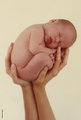 Anne Geddes 29333867