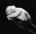 Anne Geddes 29333869