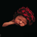 Anne Geddes 29333870