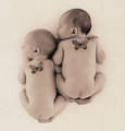 Anne Geddes 29333873