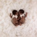 Anne Geddes 29333874