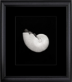 Anne Geddes 29336514