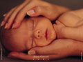 Anne Geddes 29336523