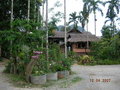 Thailand_2007 19836049