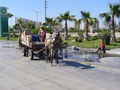 Side-Pamukkale/Türkei_2008 37062500