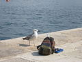 Rovinj6D 63589212