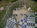 Minka und die 5 Katzenbabys.....  44482310