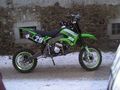 Quad´s und geile Pocketbikes 55311675