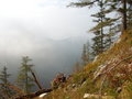 Bergsteigen am Traunstein! 29403727