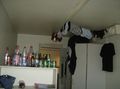 PArtY in EUROhStel!!!!!!!!!!!!!!!!!!! 40076293