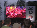 Donauinselfest 2009 62195323