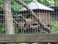 TiErPaRk HaAg 24515822