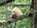 TiErPaRk HaAg 24515921