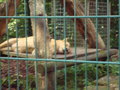 TiErPaRk HaAg 24515951