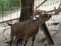 TiErPaRk HaAg 24516031