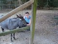 TiErPaRk HaAg 24516520