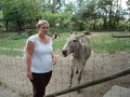 TiErPaRk HaAg 24516664