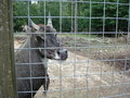 TiErPaRk HaAg 24517265