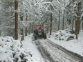 Bundesheer 2007 31149747