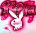 playboy 15048489