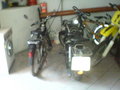 Mei Motorcross!!!und mei Moped!!!! 16780405