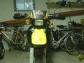 Mei Motorcross!!!und mei Moped!!!! 20699573