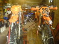 Mei Motorcross!!!und mei Moped!!!! 26386959